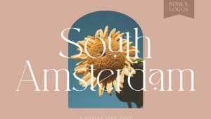 South Amsterdam Font › Fontesk
