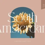 South Amsterdam Serif Font