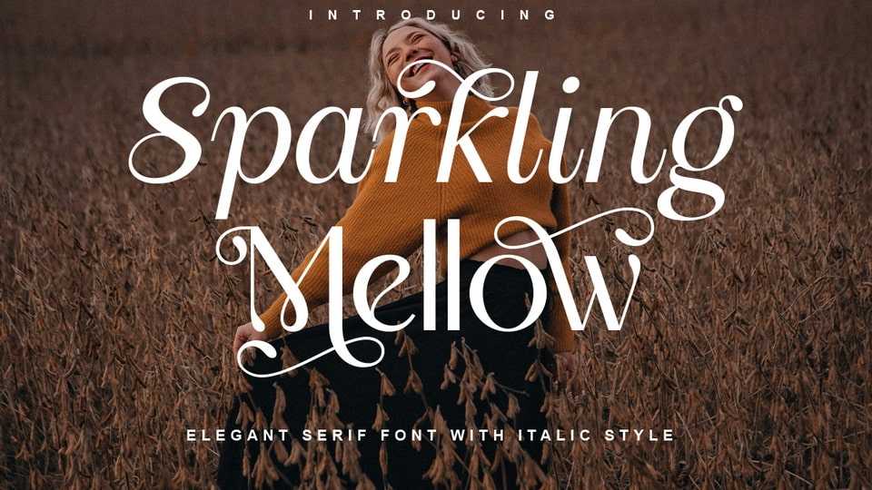 Sparkling Mellow Font › Fontesk