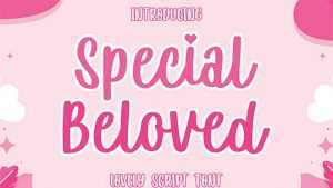 Special Beloved Font › Fontesk
