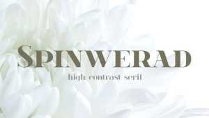 Spinwerad Font Family › Fontesk
