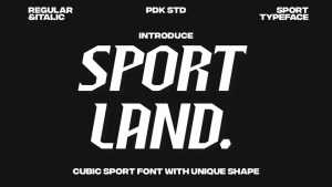 Sportland Font › Fontesk