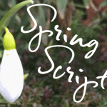 Spring Script Font