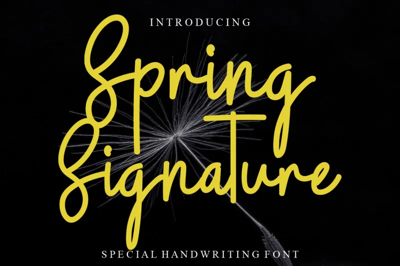 Spring Signature Font