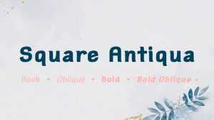 Square Antiqua Font Family › Fontesk