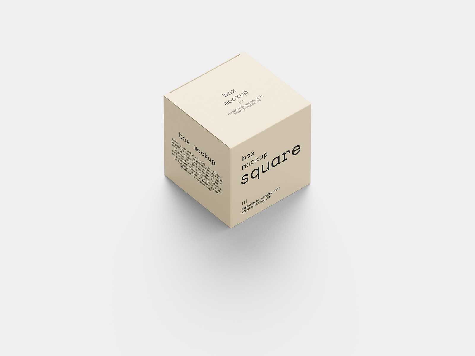 Square box mockup
