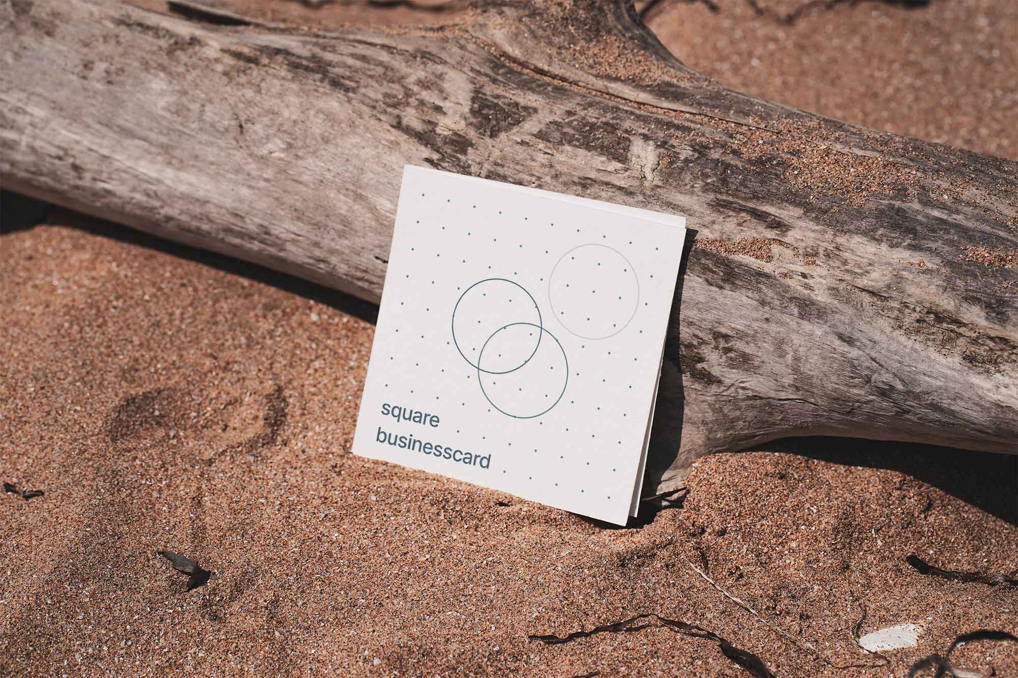 Square Business Card Mockup