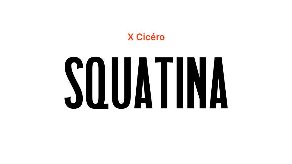 Squatina Font › Fontesk