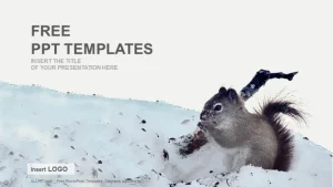 Squirrel On Snow-Nature PPT Templates