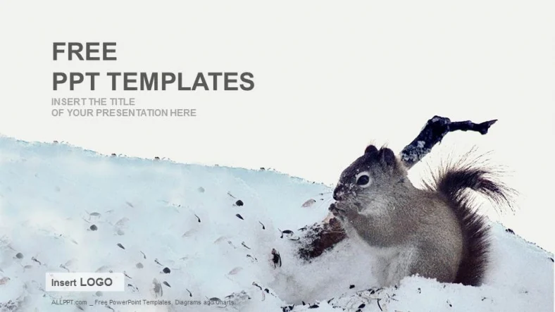 Squirrel On Snow-Nature PPT Templates