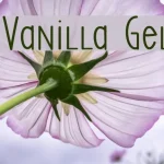 SS Vanilla Gelato Font - Fonte Grátis SS Vanilla Gelato Font