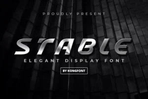 Stable Display Font