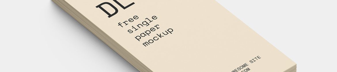 Stack of DL flyers mockup