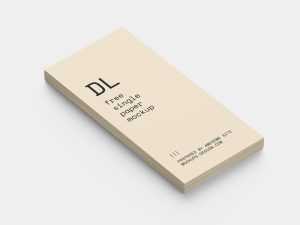 Stack of DL flyers mockup