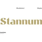 Stannum Sans Serif Font