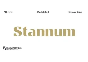 Stannum Sans Serif Font