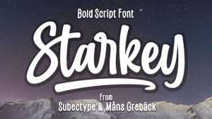Starkey Script Font › Fontesk