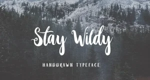 Stay Wildy Script Font