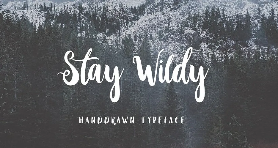 Stay Wildy Script Font