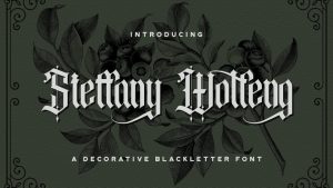 Steffany Wolfeng Font › Fontesk
