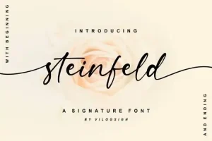 Steinfeld Script Font