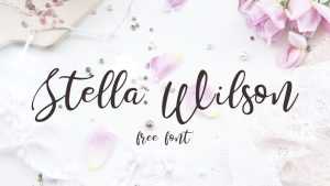 Stella Wilson Font › Fontesk