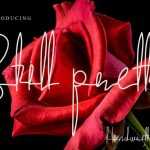 Still Pretty Font