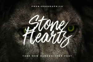 Stone Hearts Brush Font