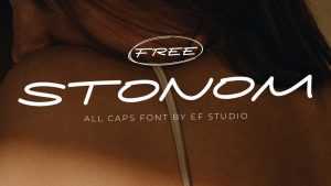 Stonom Font › Fontesk