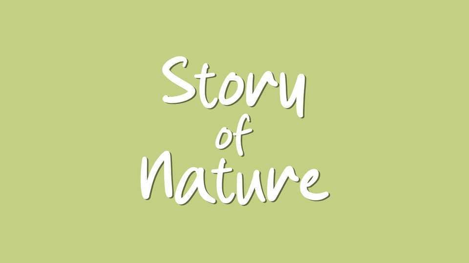 Story of Nature Font › Fontesk