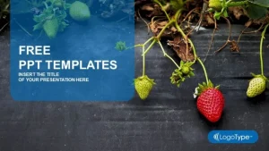 Strawberry field PowerPoint Templates