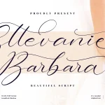 Sttevanie Barbara Font - Fonte Grátis Sttevanie Barbara Font