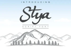 Stya Script Font