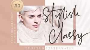 Stylish Classy Script Font › Fontesk