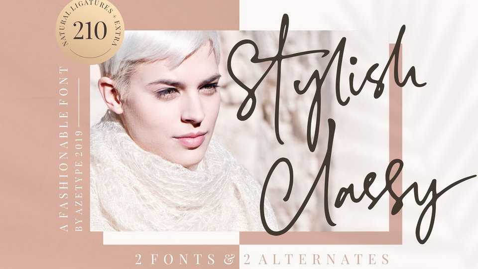 Stylish Classy Script Font › Fontesk