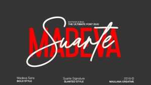 Suarte Script Font › Fontesk