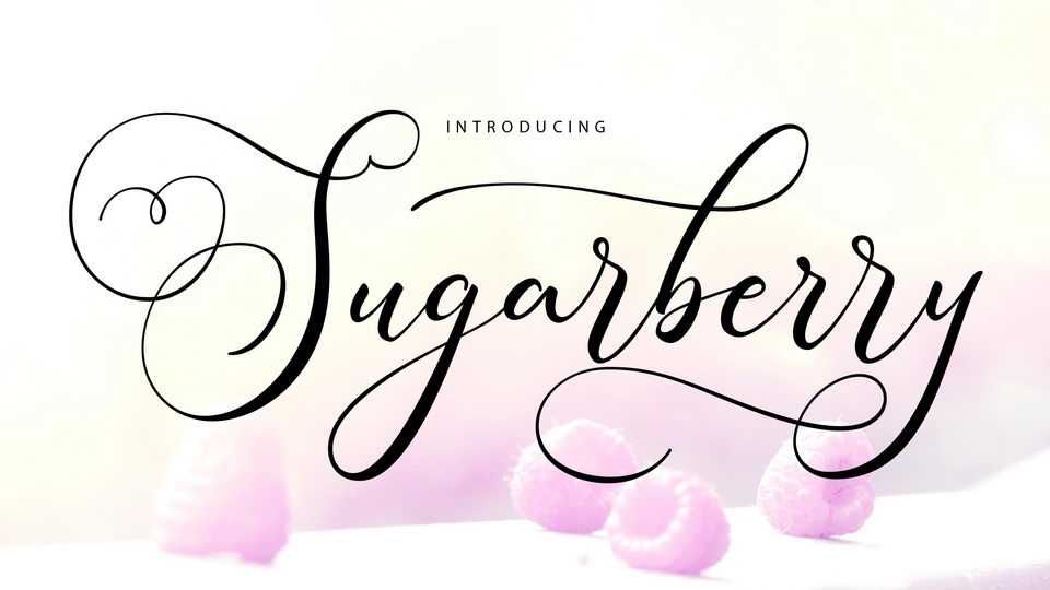Sugarberry Script Font › Fontesk
