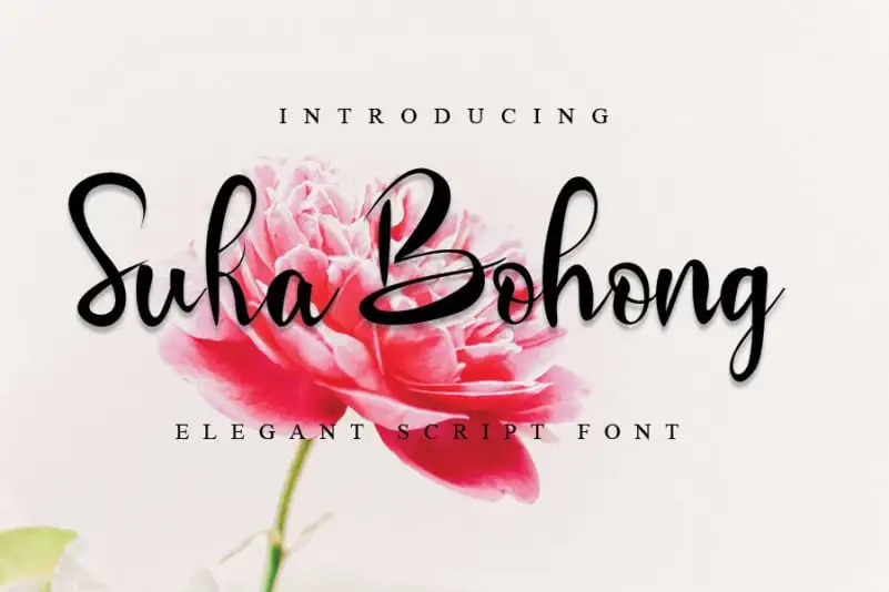 Suka Bohong Calligraphy Font