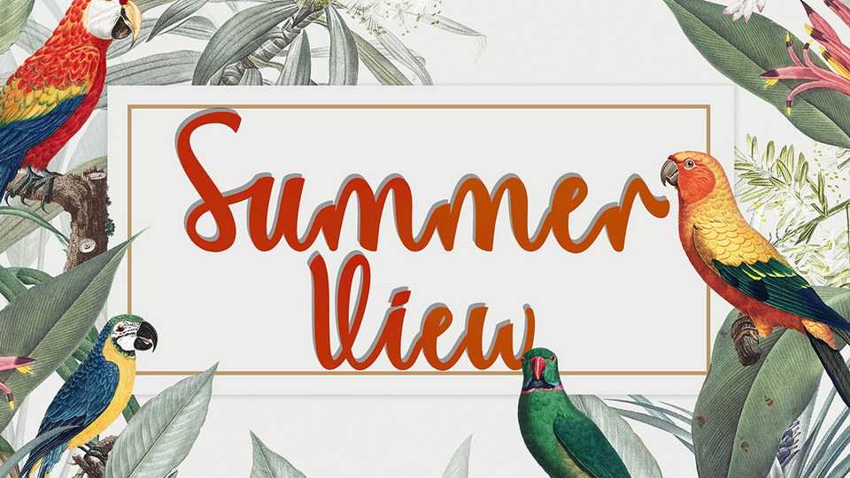 Summer View Font › Fontesk