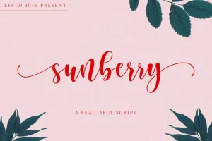 Sunberry Script Font