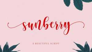 Sunberry Script Font › Fontesk