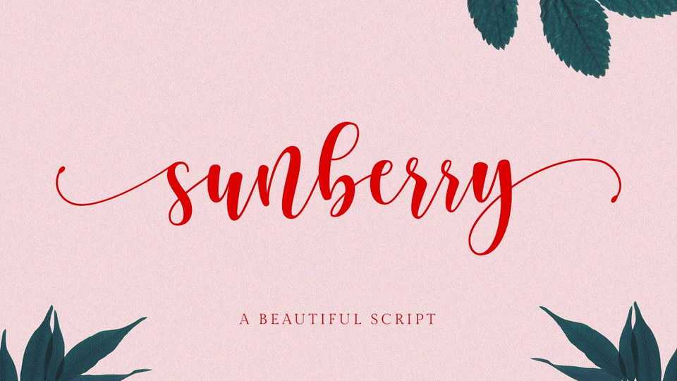 Sunberry Script Font › Fontesk