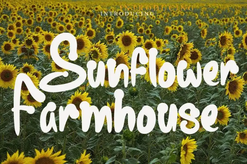 Sunflower Farmhouse Display Font