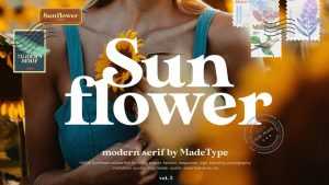 Sunflower Font › Fontesk