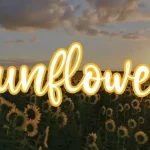 Sunflower Handwritten Font