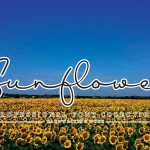 Sunflower Handwritten Font