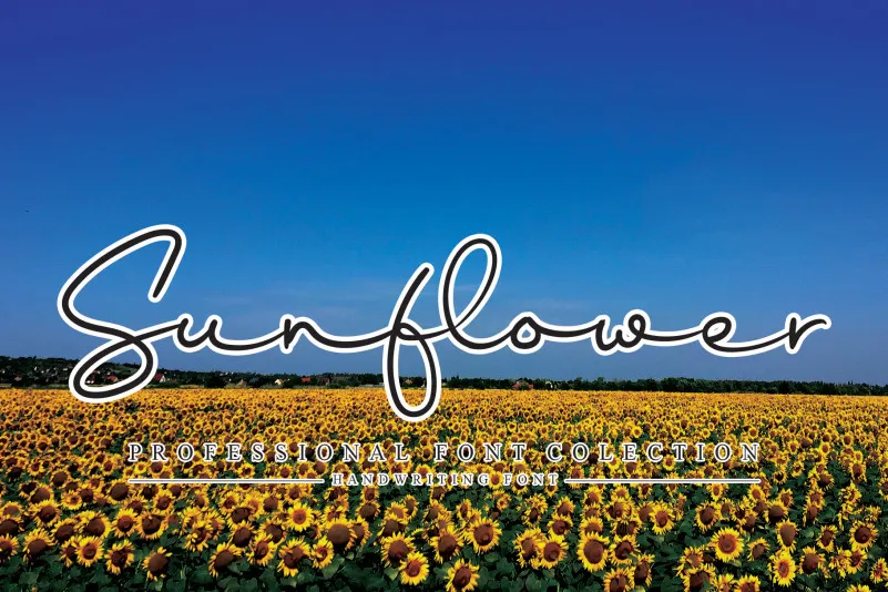 Sunflower Handwritten Font
