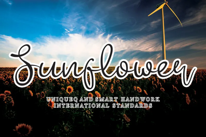 Sunflower Handwritten Font