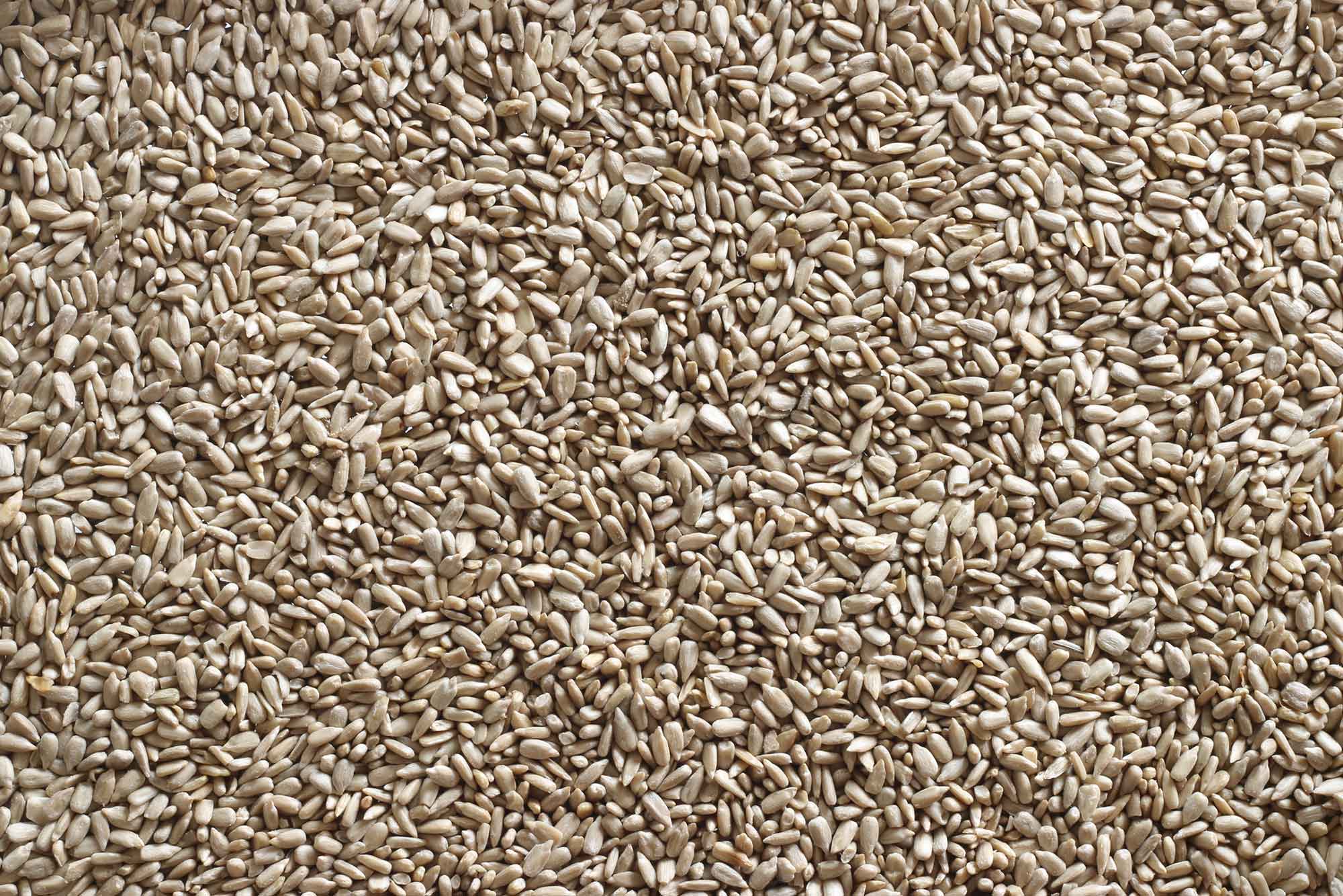 Sunflower Seeds Texture