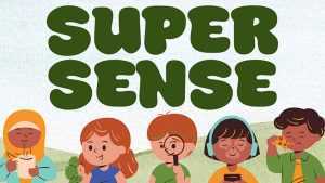 Super Sense Font › Fontesk